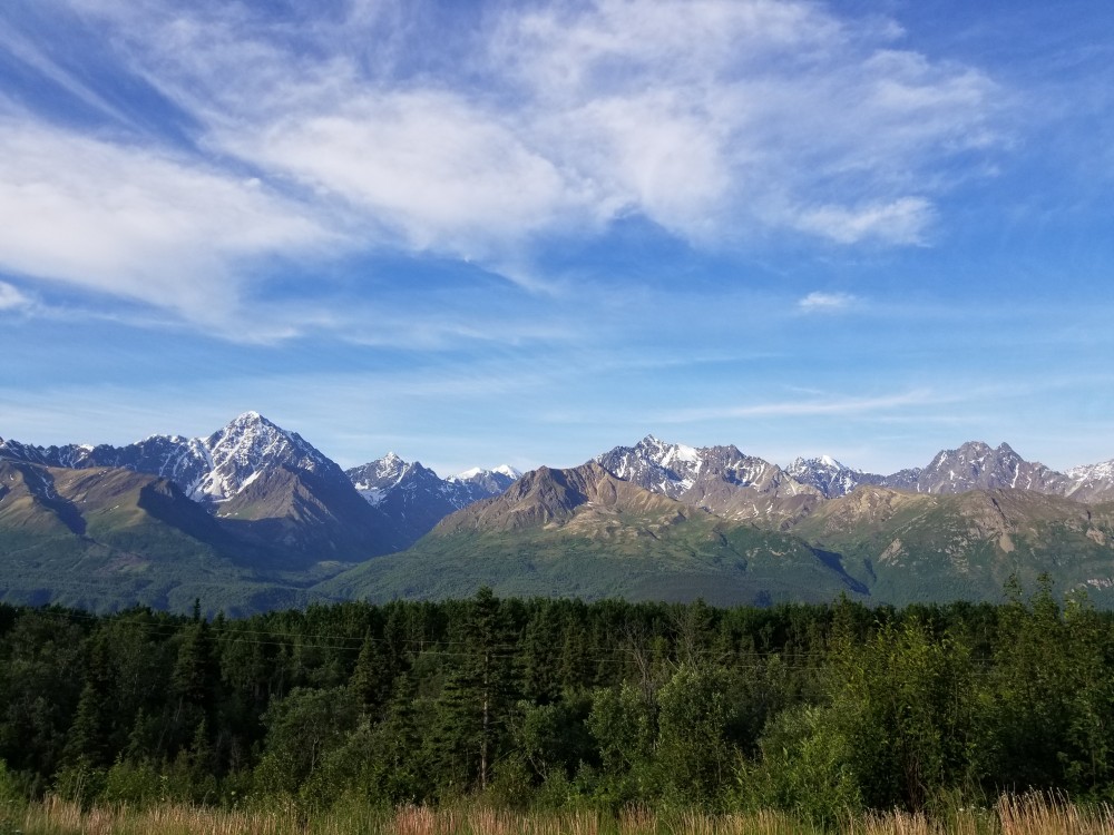 a6a4605af5ccba5cf1998cdb8bad9055_1532848