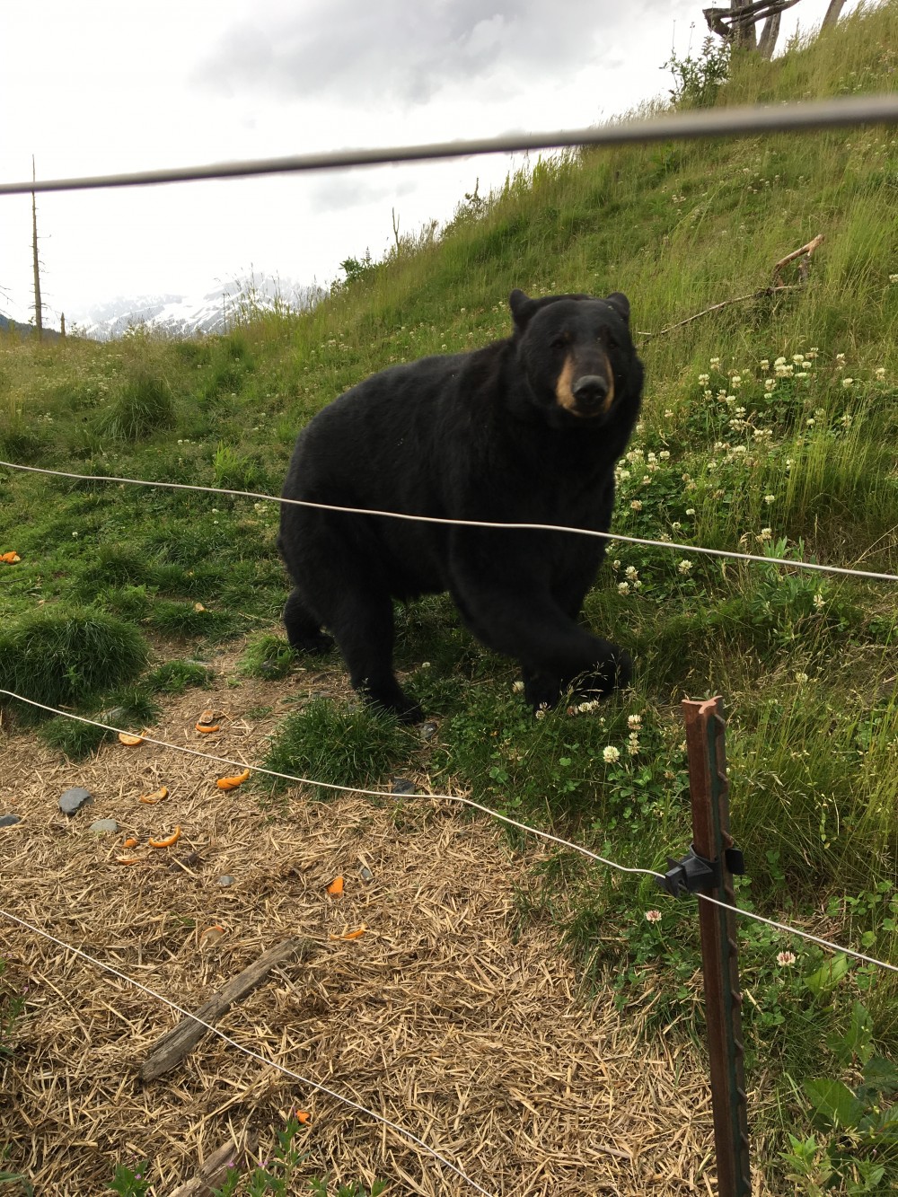 5250df7273ca23178f4070787d249f95_1535690