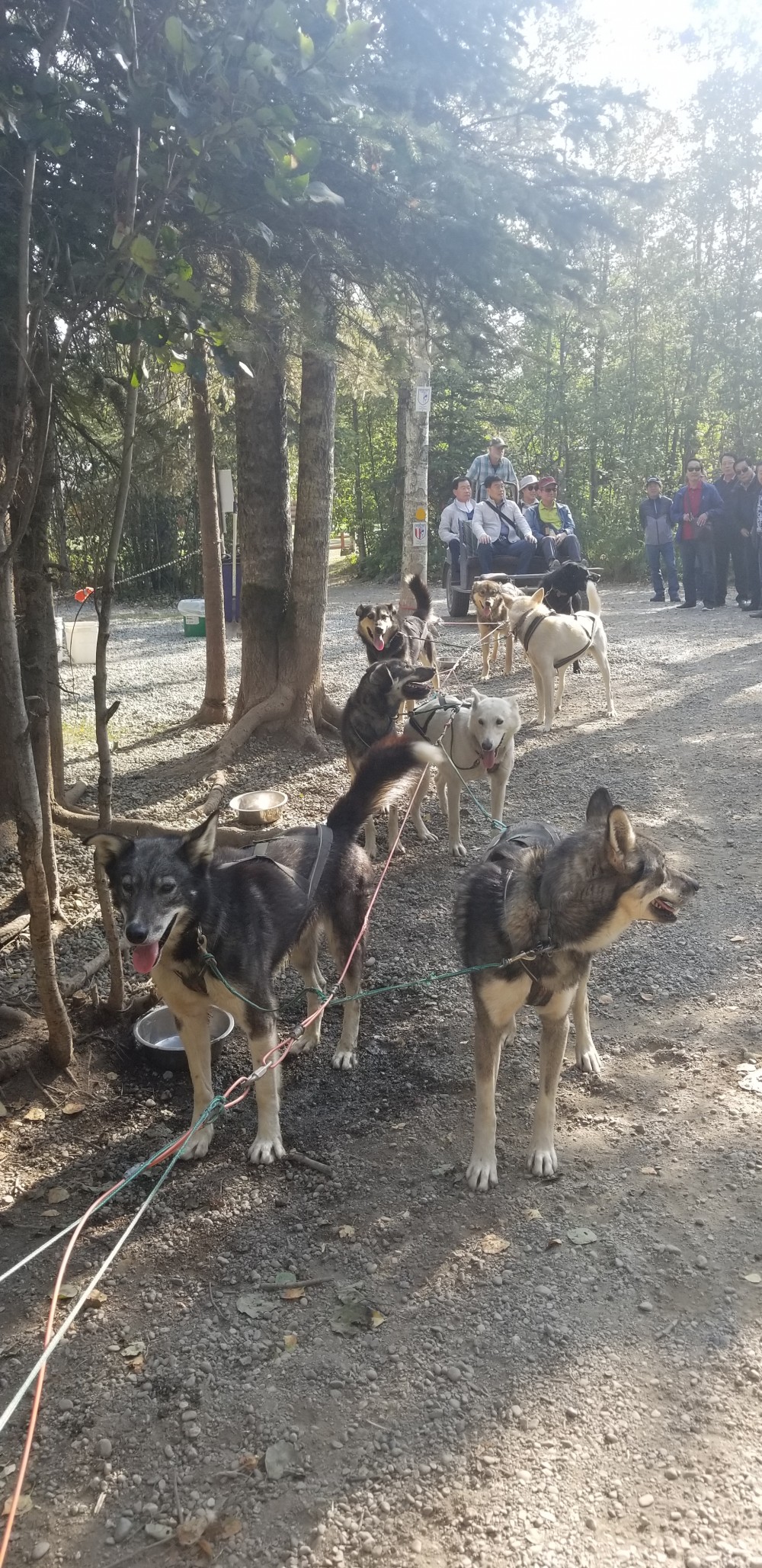 6c4f3333da3932f2c5dec90ab42da059_1570599